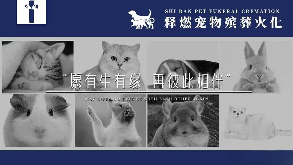 顺义释然宠物善终 