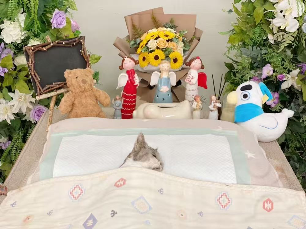 东城萤火宠物火化殡葬